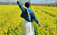 读故事，学周易：文王定下大象计，暗渡陈仓把兵练