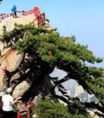 心无挂碍，便能得道；靠睡成仙的陈抟老祖